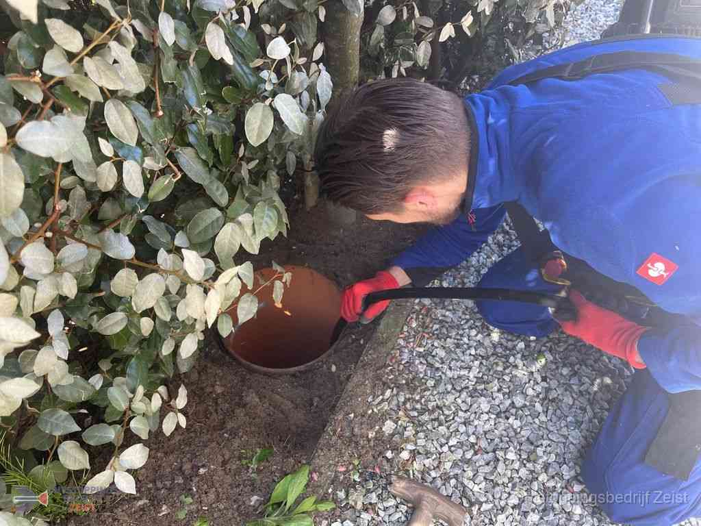 Rioolvliegjes Zeist Rioolvliegjes Zeist